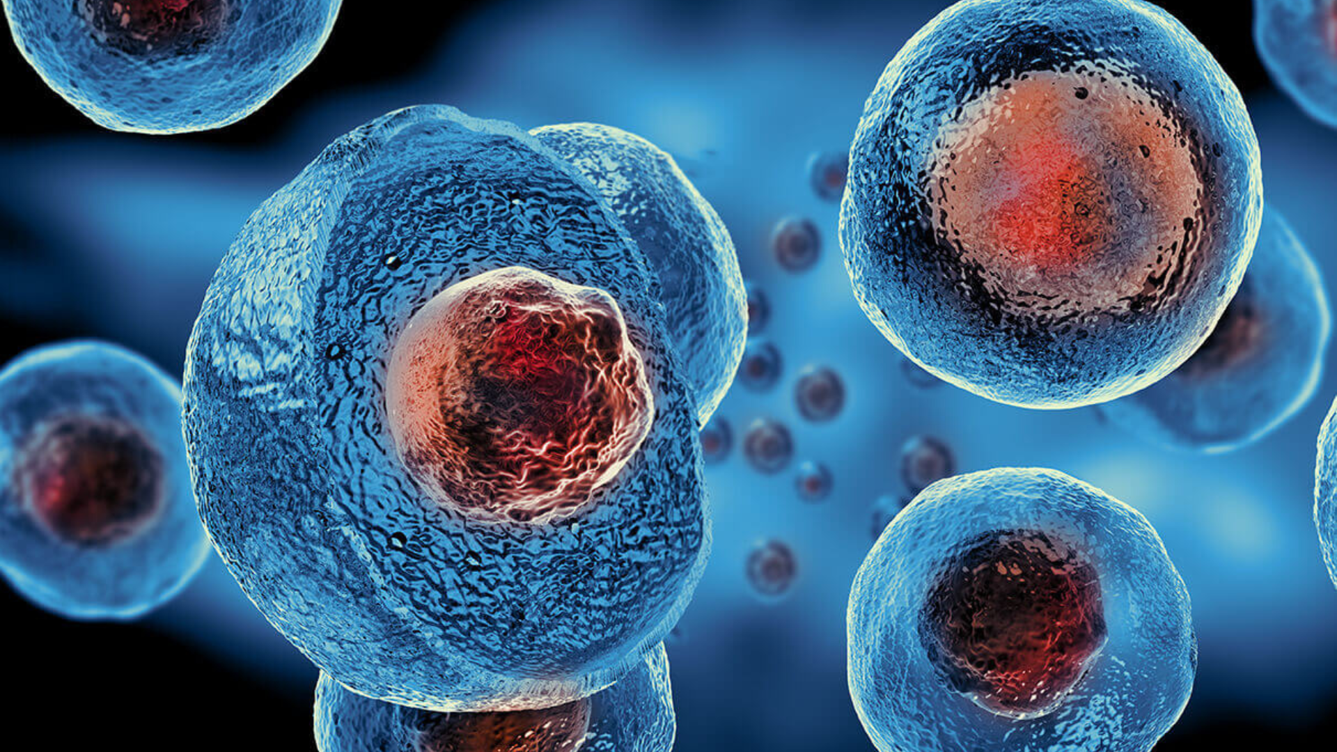 Medical professional preparing stem cell therapy treatment
